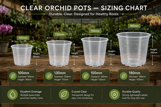 Clear Orchid Pots 180mm showing size dimensions