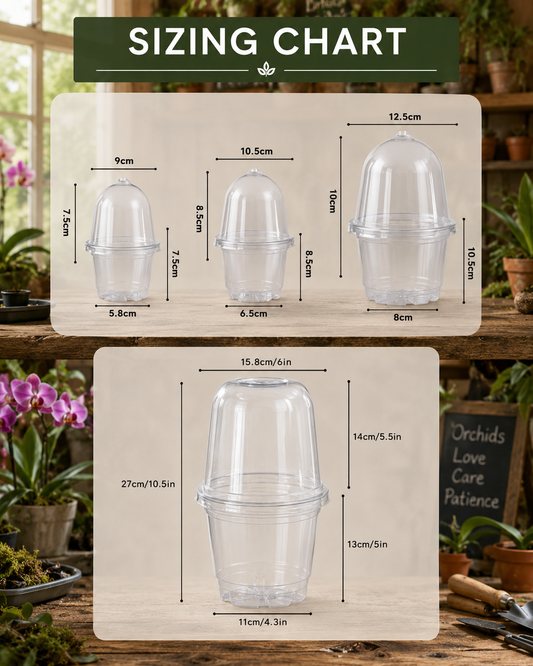 Orchid Seedling Humidity Dome 100mm showing size dimensions
