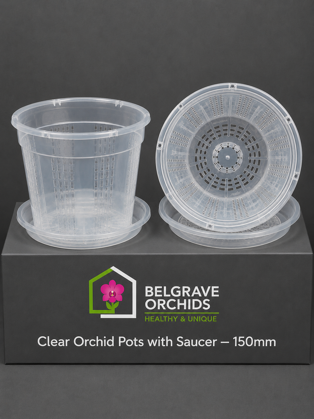Clear Orchid Pots with Saucer 150mm showing pot display