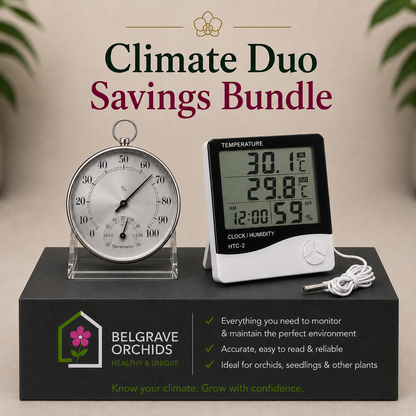 Analog & Digital Climate Duo — Analog Hygrometer & Digital HTC-2
